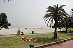 1175.jpg 1175.jpg