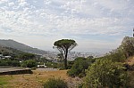 1370.jpg 1370.jpg