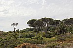 1548.jpg 1548.jpg