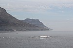 1549.jpg 1549.jpg