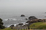 1550.jpg 1550.jpg