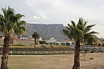 1662.jpg 1662.jpg