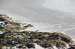 2163.jpg 2163.jpg