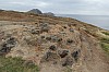 2865.jpg 2865.jpg