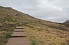 2877.jpg 2877.jpg