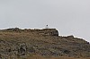 2886.jpg 2886.jpg