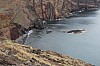 2890.jpg 2890.jpg