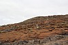 2926.jpg 2926.jpg