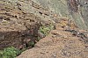 2927.jpg 2927.jpg