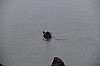 2947.jpg 2947.jpg