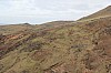 2948.jpg 2948.jpg