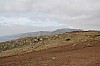 2963.jpg 2963.jpg