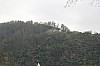 3726.jpg 3726.jpg