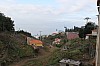3728.jpg 3728.jpg