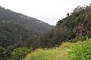 3732.jpg 3732.jpg