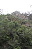 3749.jpg 3749.jpg