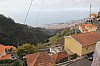 3781.jpg 3781.jpg