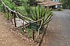 3868.jpg 3868.jpg