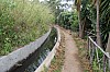 3877.jpg 3877.jpg
