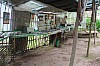 3935.jpg 3935.jpg