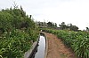 3964.jpg 3964.jpg