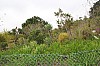 3977.jpg 3977.jpg