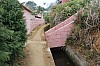 3987.jpg 3987.jpg