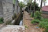 4215.jpg 4215.jpg
