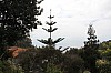4229.jpg 4229.jpg