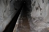 4261.jpg 4261.jpg
