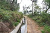 4294.jpg 4294.jpg
