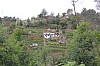 4296.jpg 4296.jpg