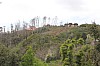 4299.jpg 4299.jpg