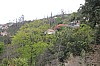 4330.jpg 4330.jpg