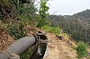4361.jpg 4361.jpg