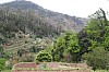 4369.jpg 4369.jpg
