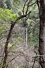 4395.jpg 4395.jpg