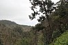 4403.jpg 4403.jpg