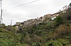4446.jpg 4446.jpg