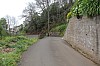 4450.jpg 4450.jpg