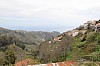 4461.jpg 4461.jpg