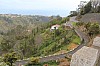 4469.jpg 4469.jpg