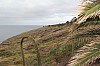 2863.jpg 2863.jpg