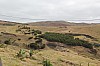 2975.jpg 2975.jpg