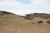 3054.jpg 3054.jpg