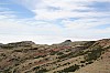 3065.jpg 3065.jpg