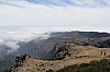 3077.jpg 3077.jpg