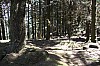 3103.jpg 3103.jpg