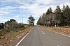 3161.jpg 3161.jpg