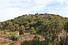 3169.jpg 3169.jpg